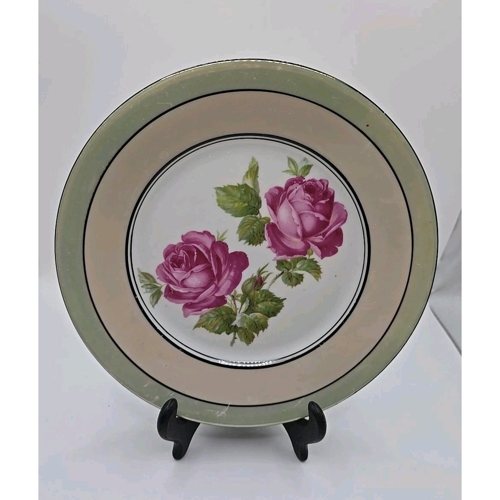 Vintage German Porcelain Rose Pattern Dinner Plate 8 1/2"